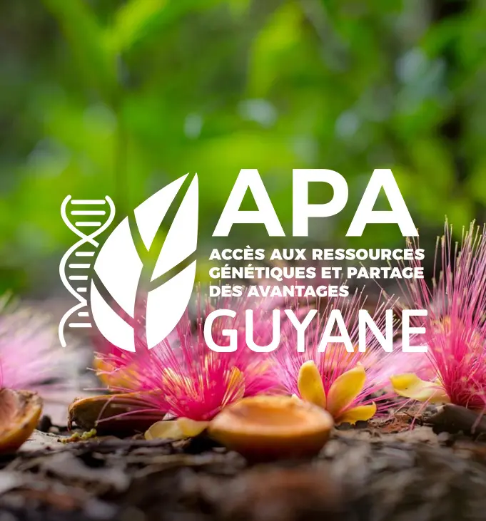 APA Guyane · Site internet
