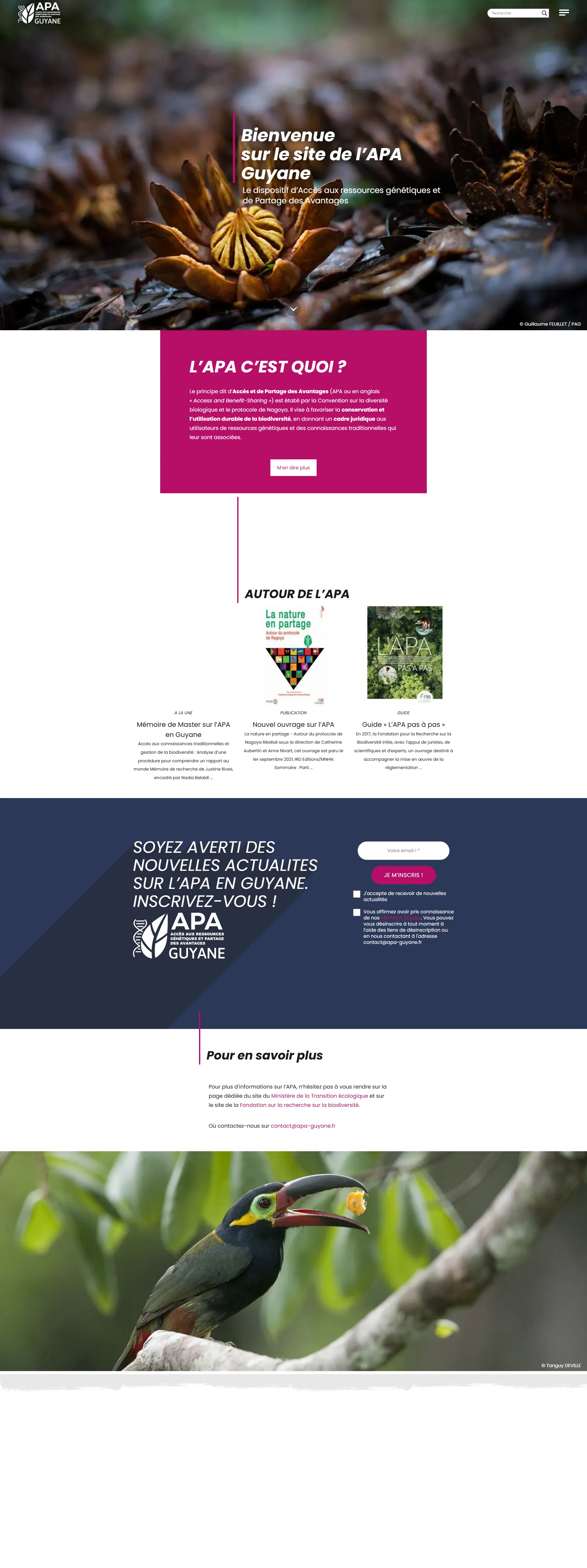 Page d'accueil complète de apa-guyane.fr sur ordinateur