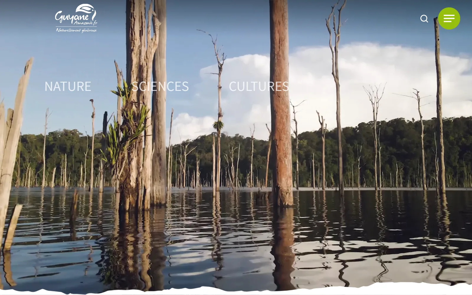 Page d'accueil du site guyane-amazonie.fr sur ordinateur