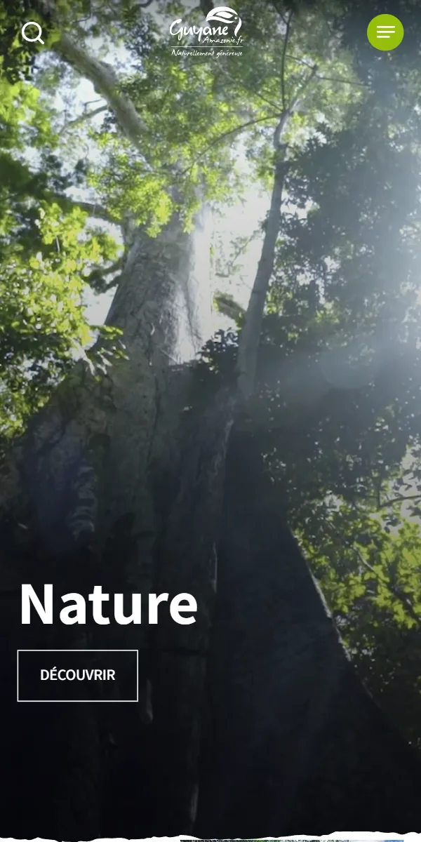 Le site guyane-amazonie.fr sur téléphone