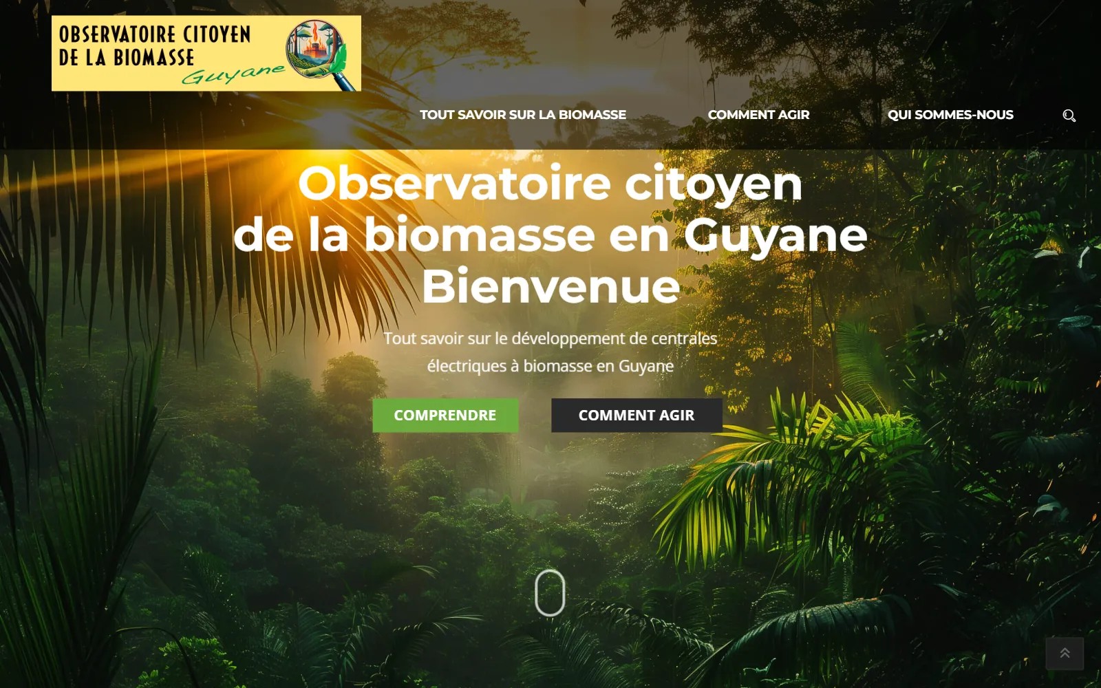 Page d'accueil du site observatoire-citoyen-biomasse-guyane.fr sur ordinateur